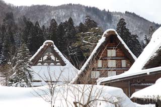 キャンピングカーで行く白川郷